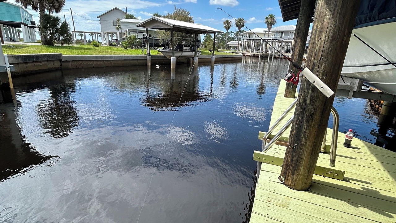 Photo of Outdoor in Suwannee