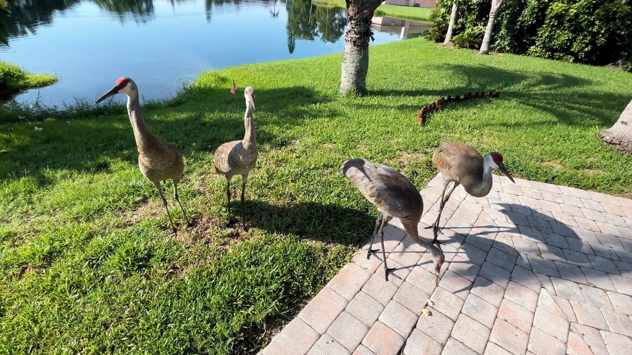 Photo of Outdoor in Fruitville