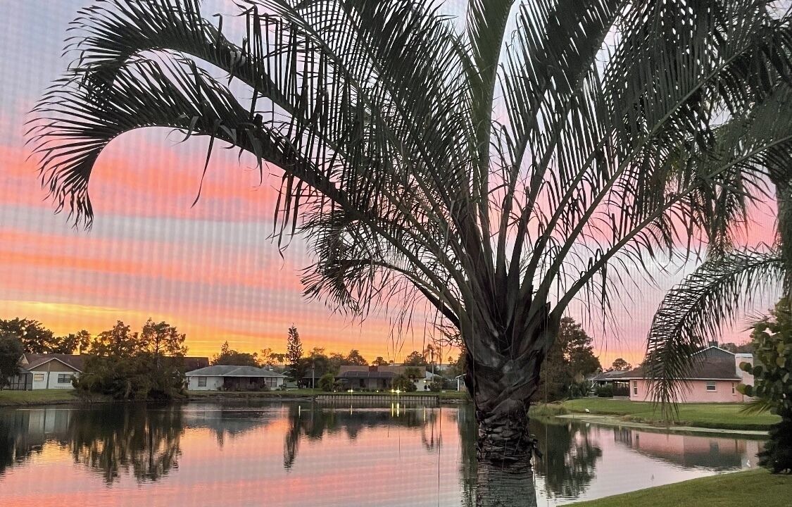 Photo of Outdoor in Fruitville