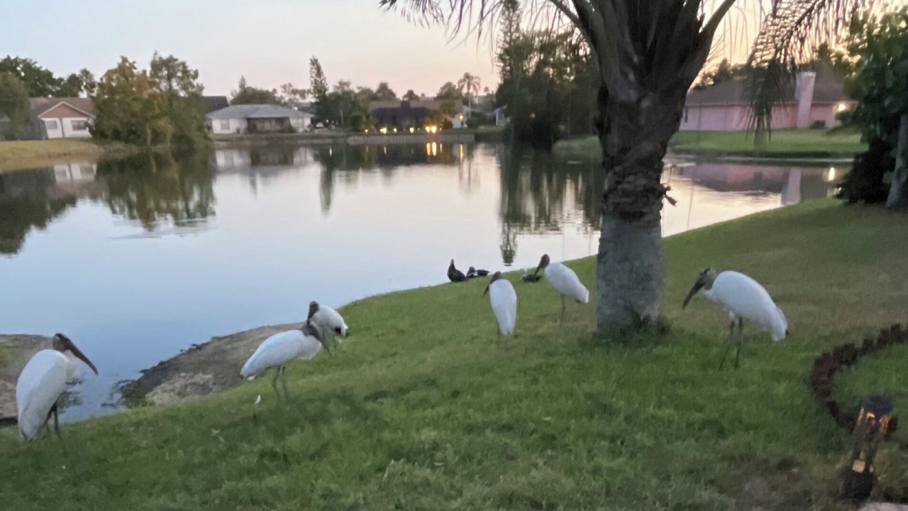 Photo of Outdoor in Fruitville