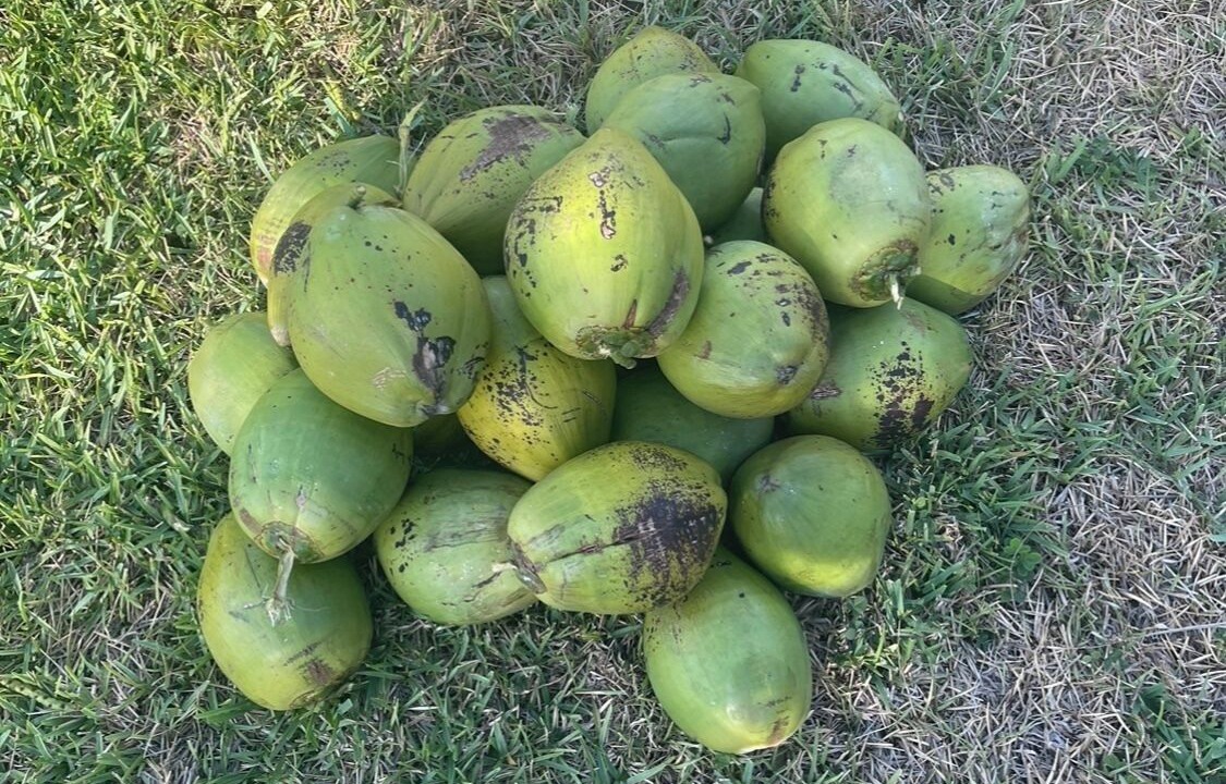 Photo of Others in Fruitville