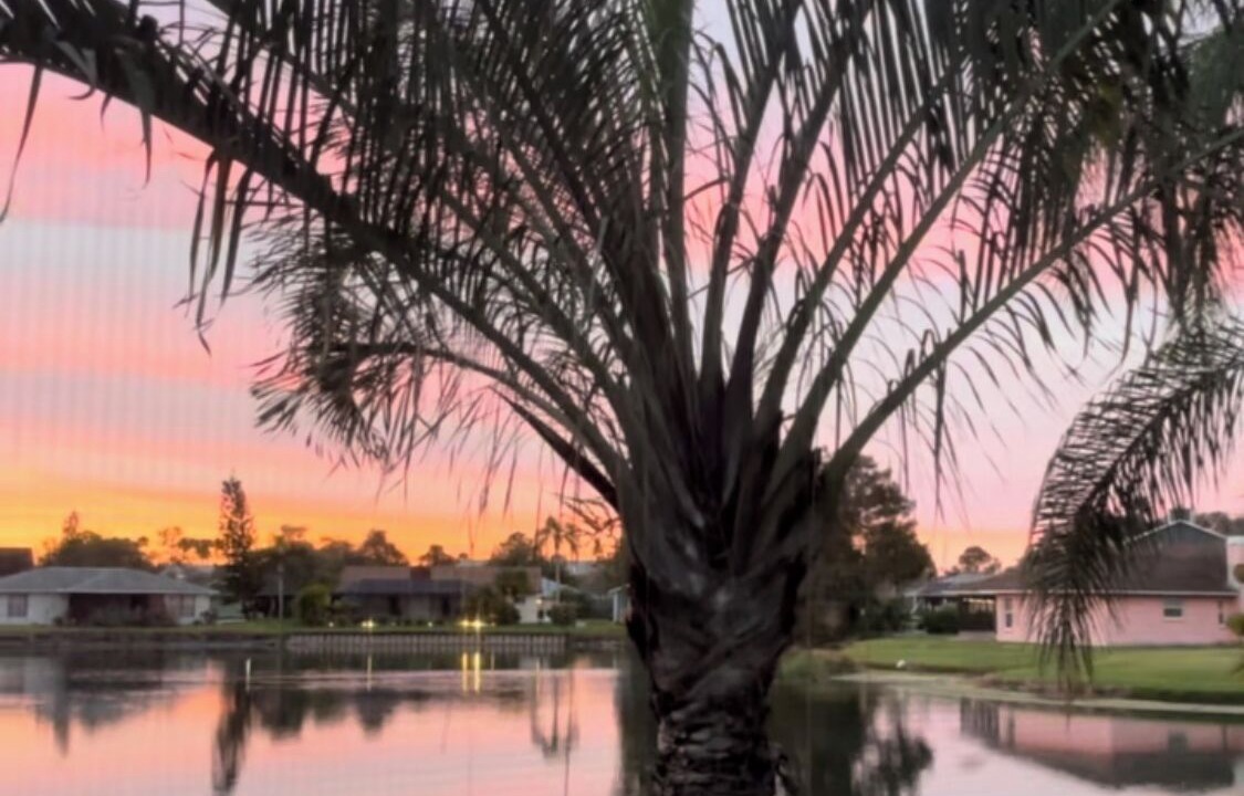 Photo of Outdoor in Fruitville