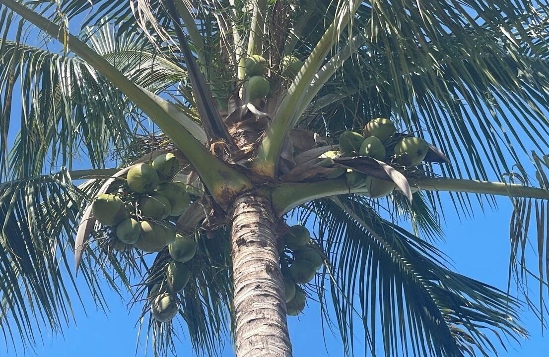 Photo of Outdoor in Fruitville