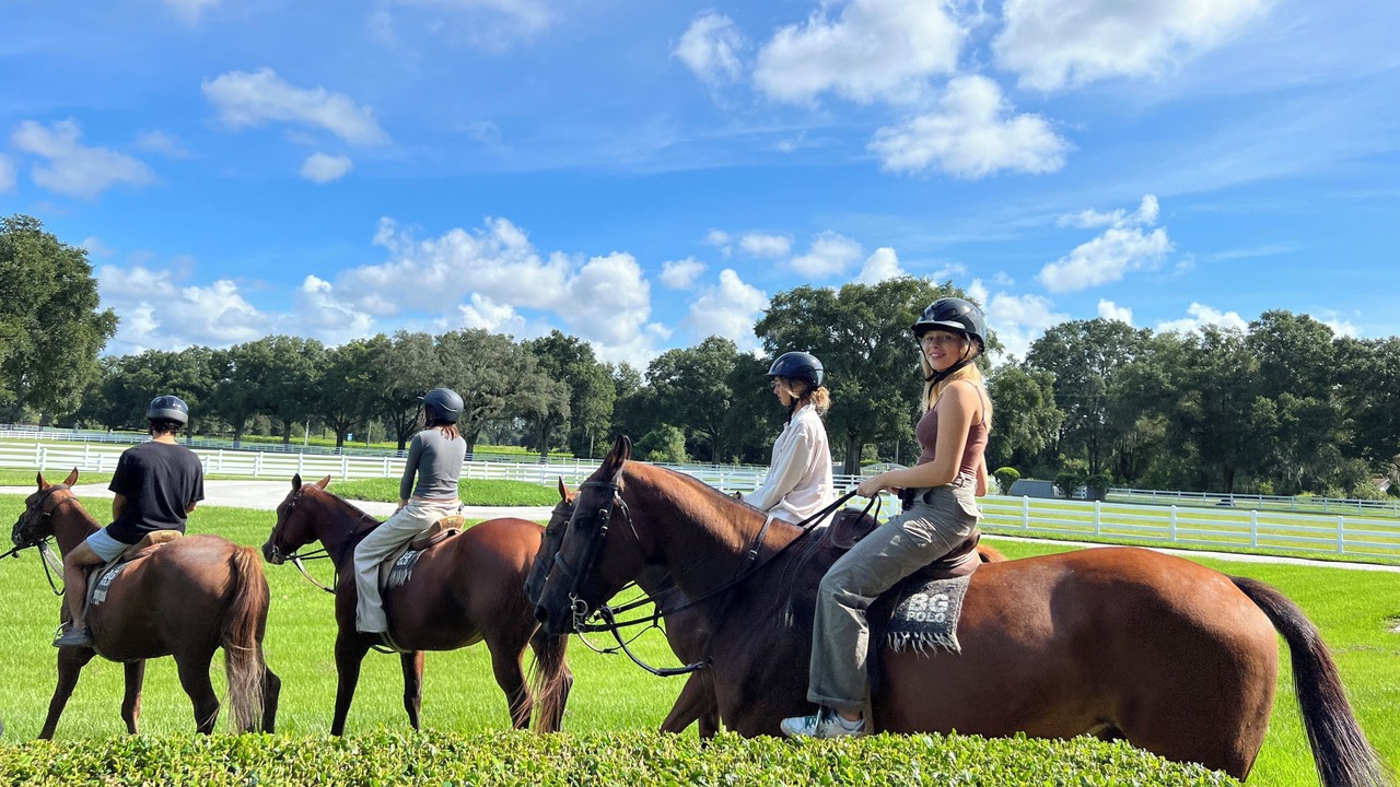 Photo of Others in Ocala