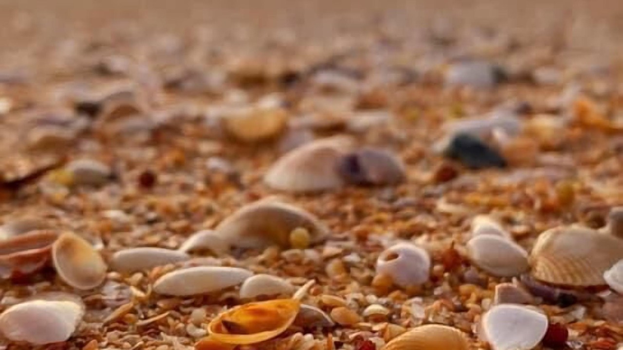 Photo of Others in Beverly Beach