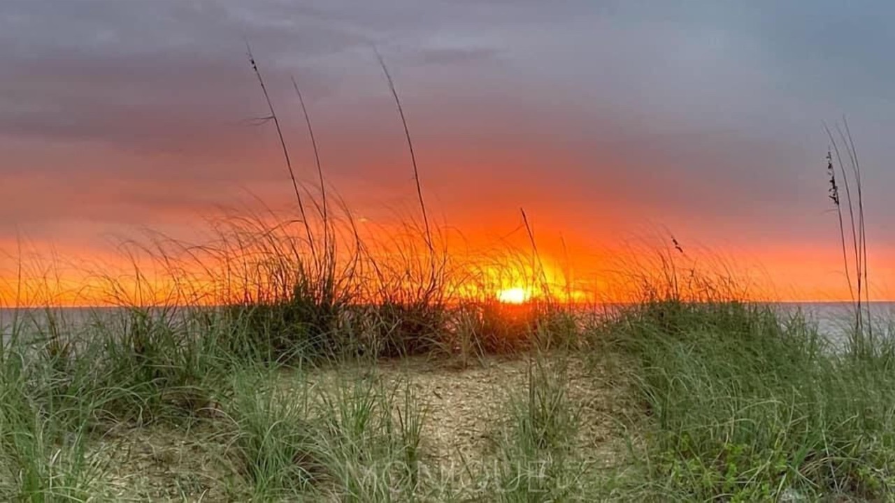 Photo of Outdoor in Beverly Beach