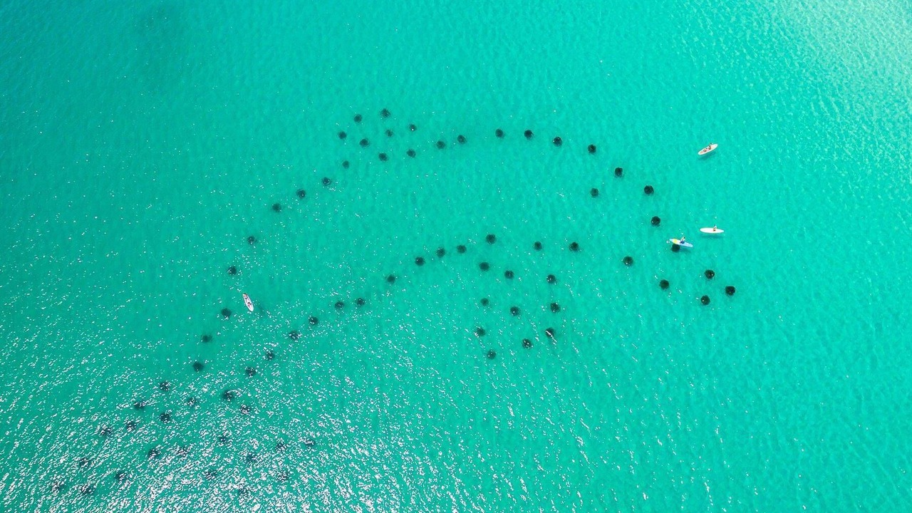 Photo of Others in Village of Sugar Beach