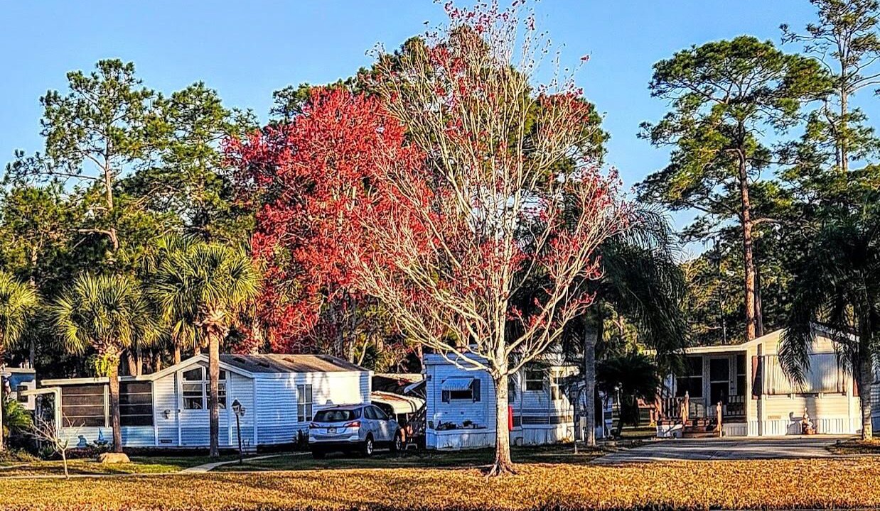 Photo of Others in Bunnell