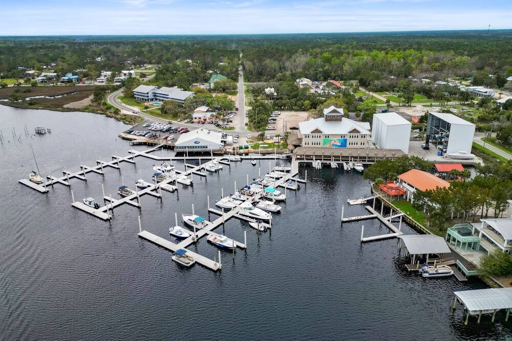 Photo of Others in Steinhatchee
