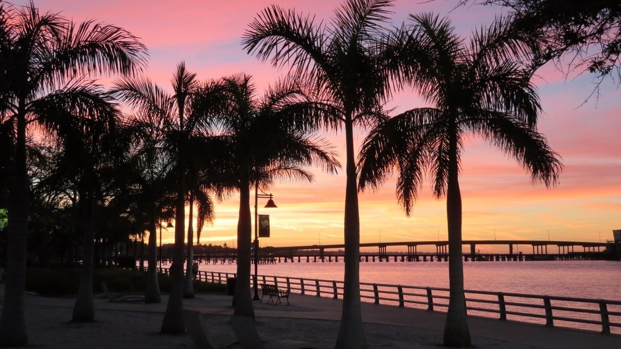 Photo of Outdoor in Palmetto