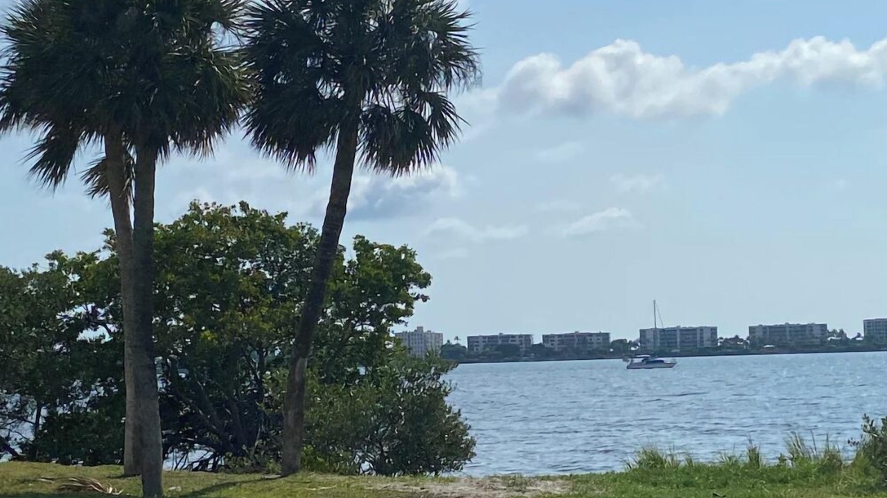 Photo of Others in South Palm Park Neighborhood Association