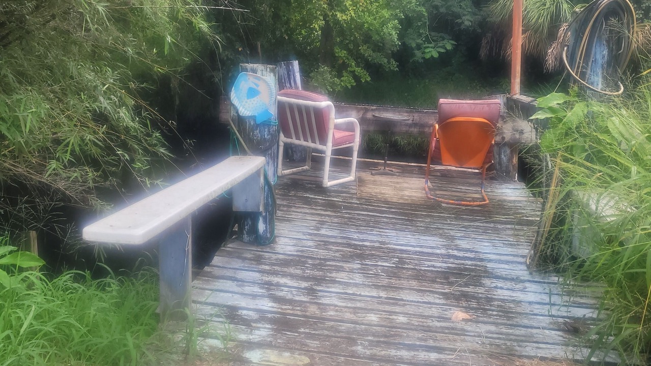 Photo of Outdoor in Anclote River Acres