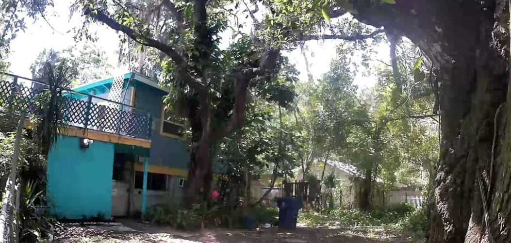 Photo of Others in Anclote River Acres