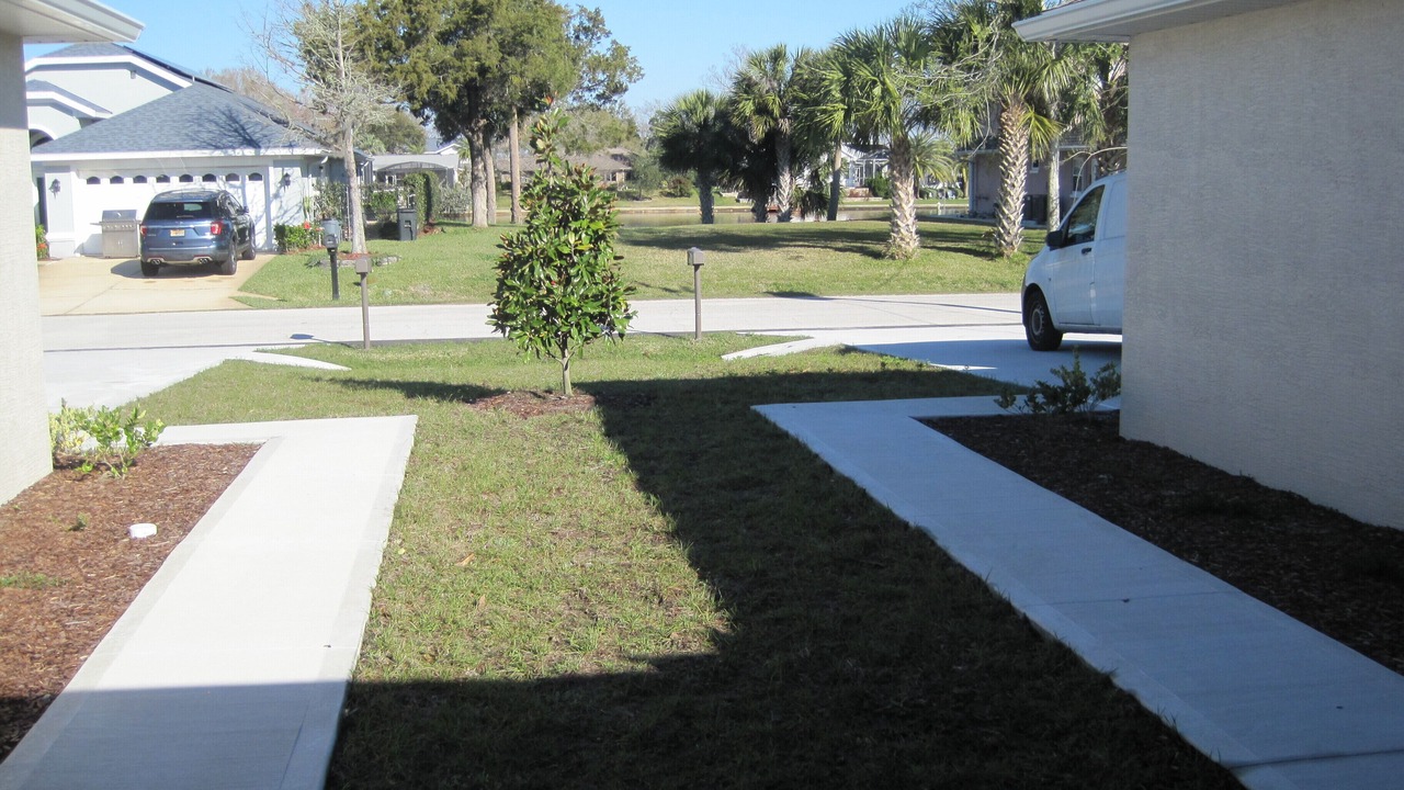 Photo of Outdoor in Palm Harbor