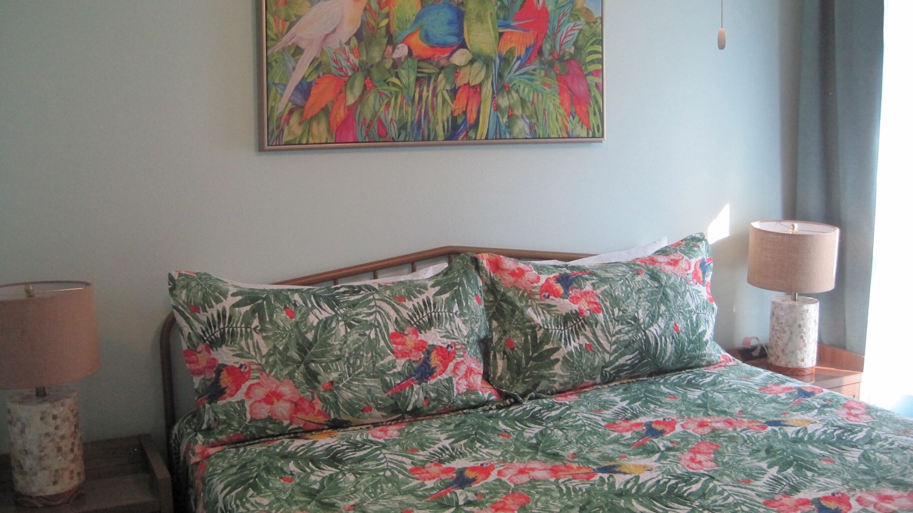 Photo of Bedroom in Palm Harbor