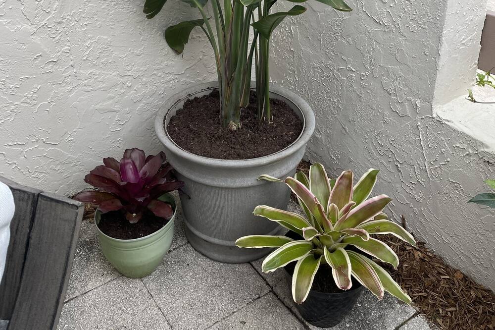 Photo of Outdoor in Brooksville