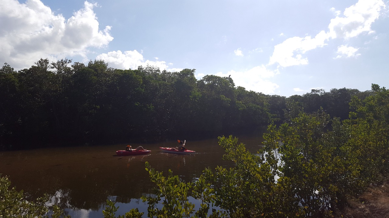 Photo of Outdoor in Bayshore Gardens