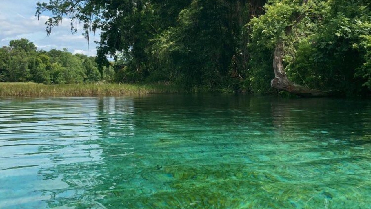 Photo of Others in Citrus Springs