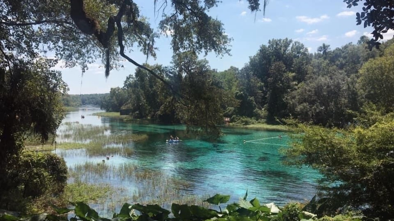 Photo of Others in Citrus Springs