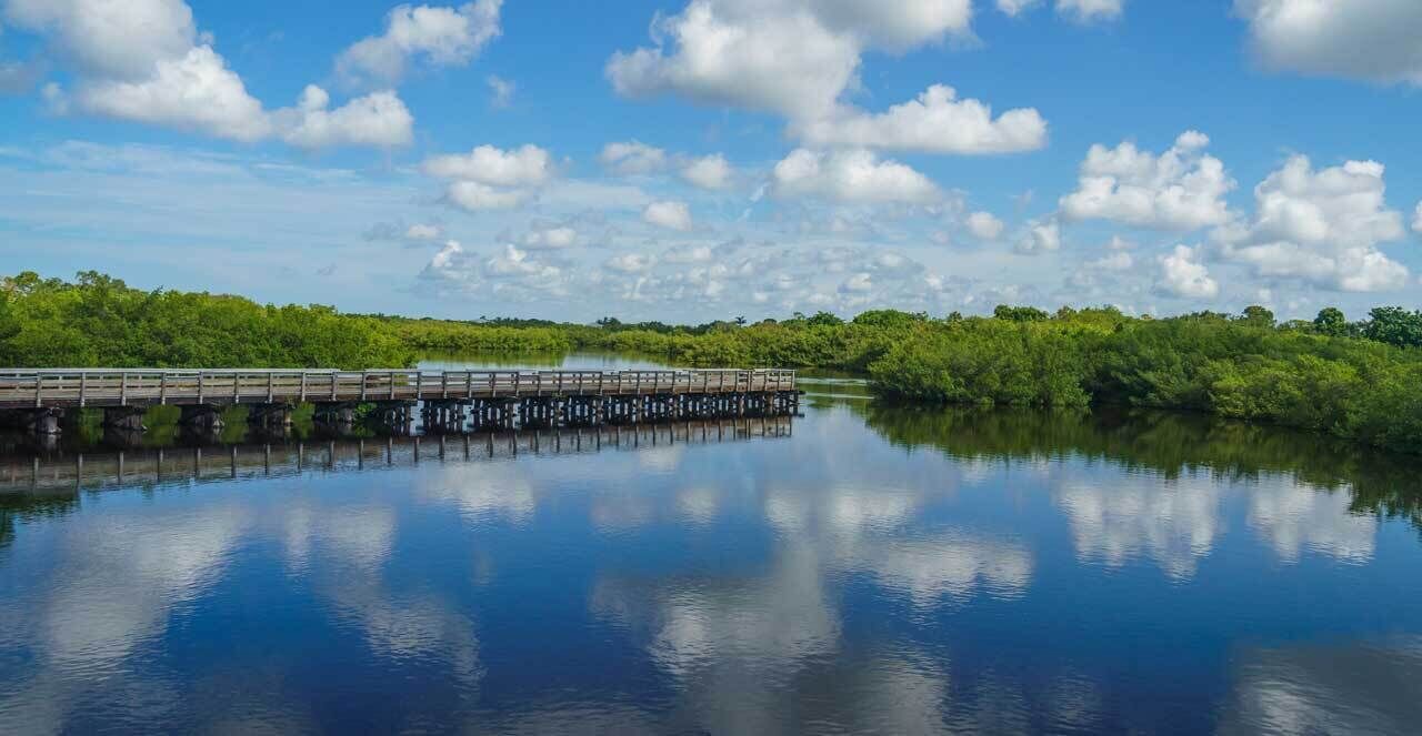Photo of Outdoor in Burnt Store Isles