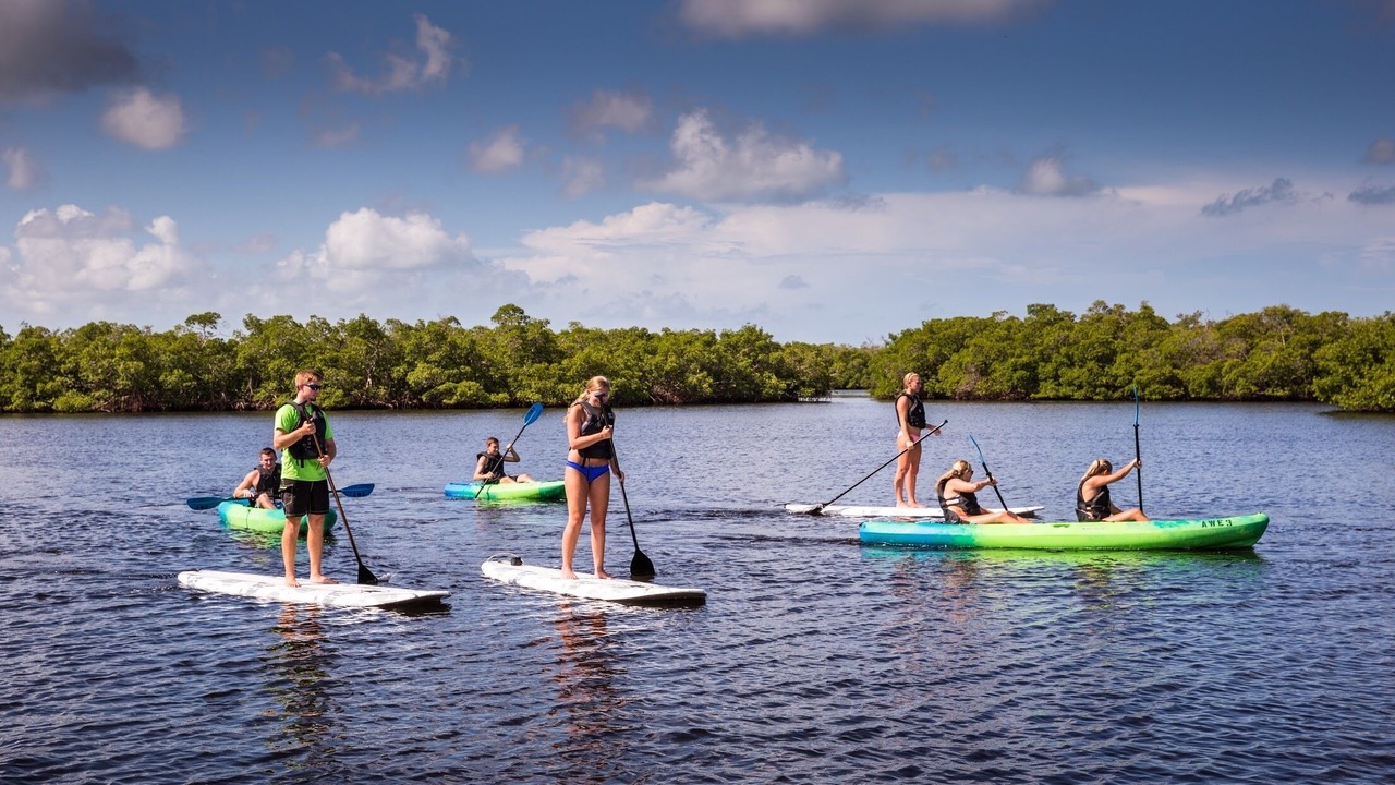Photo of Outdoor in North Naples