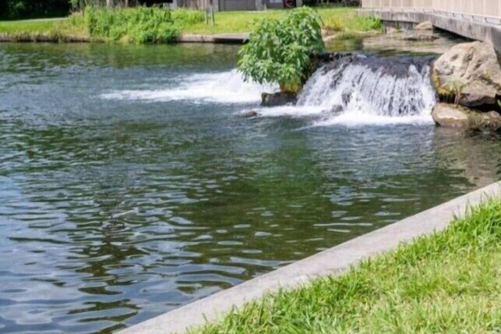 Photo of Others in Glenwood