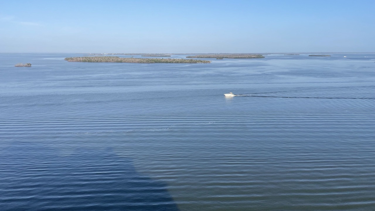 Photo of Others in Punta Rassa
