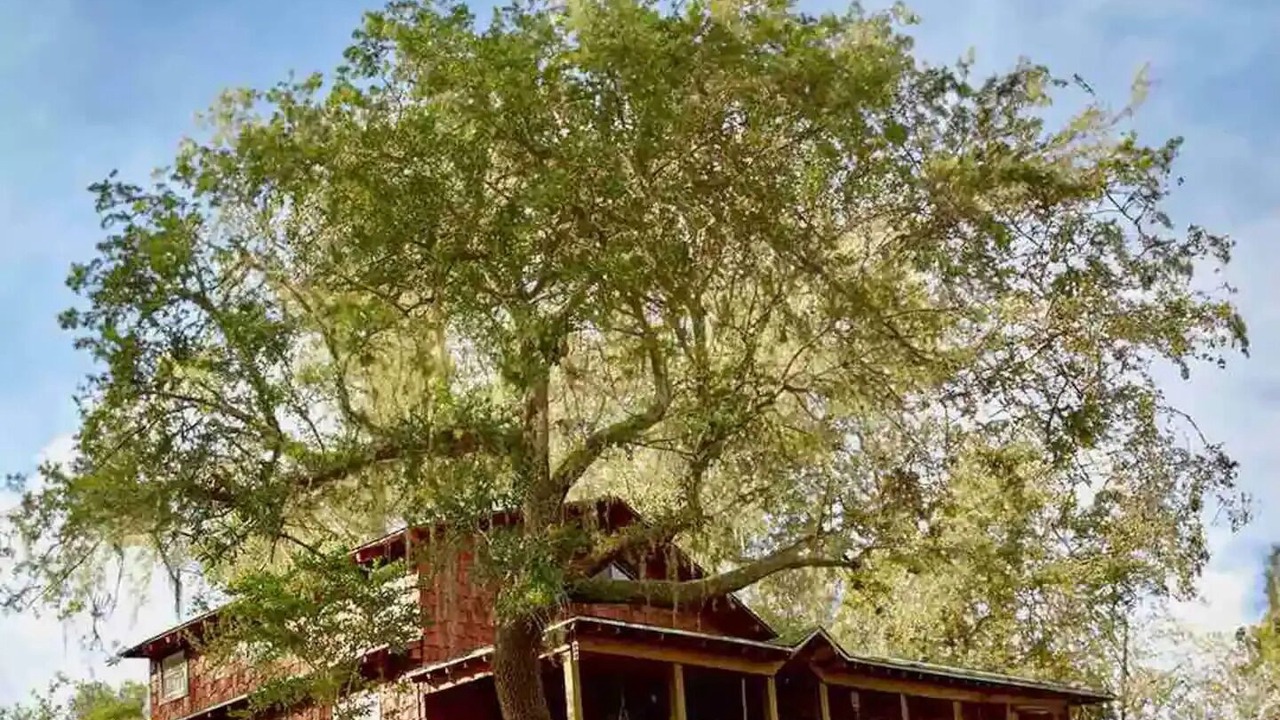 Photo of Outdoor in Ridge Manor
