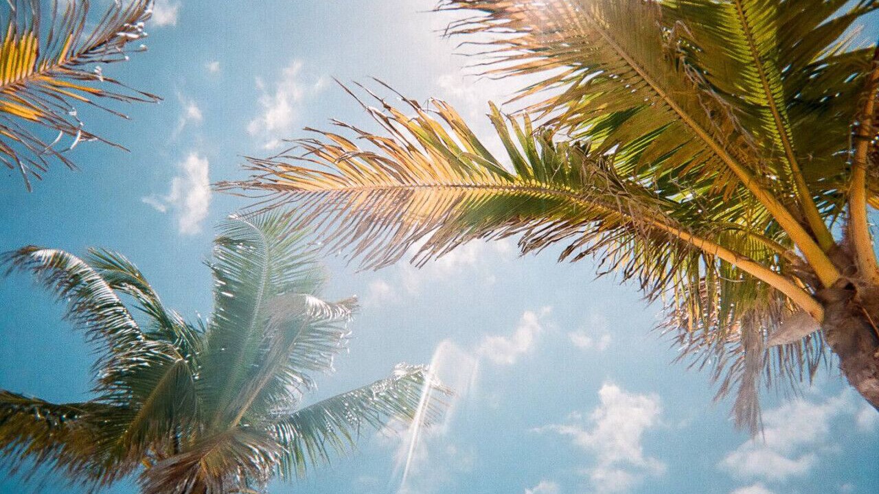 Photo of Outdoor in Orlando