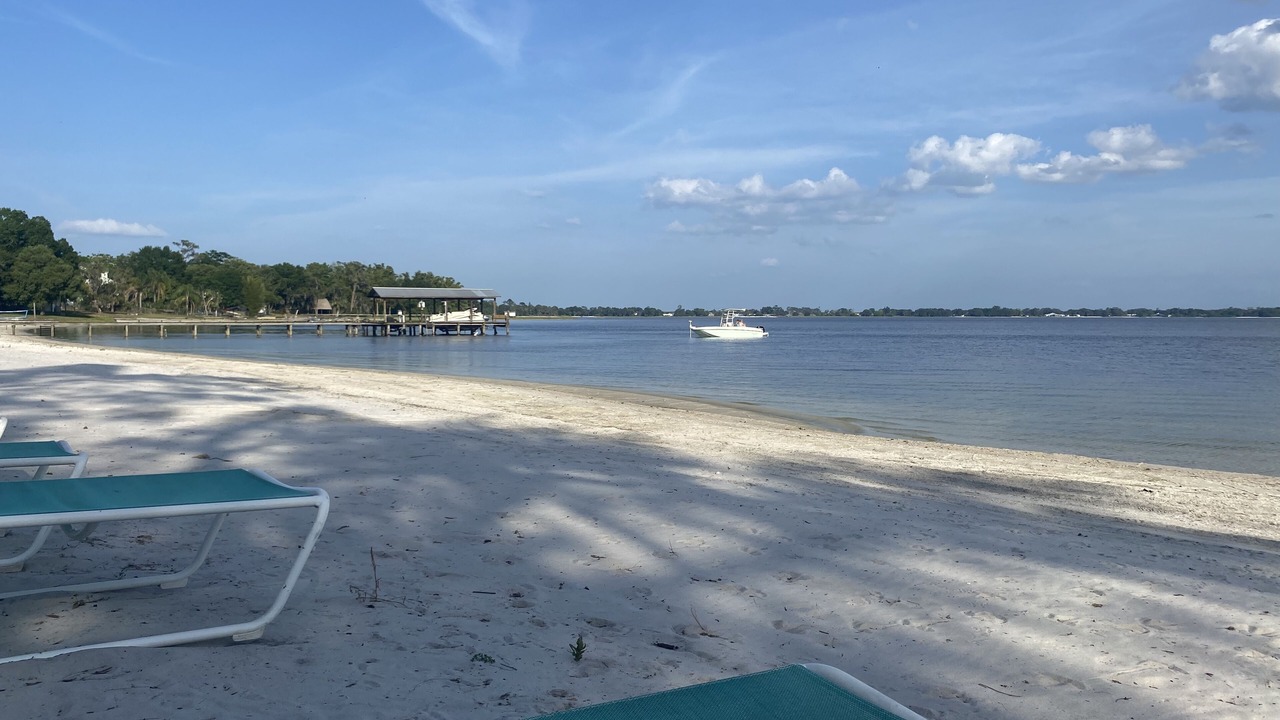 Photo of Others in Florida South Atlantic Coast