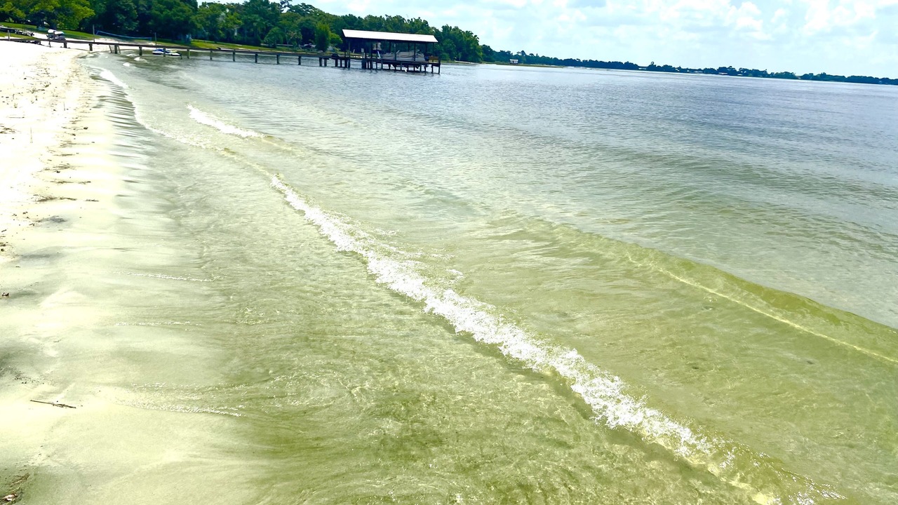 Photo of Others in Florida South Atlantic Coast