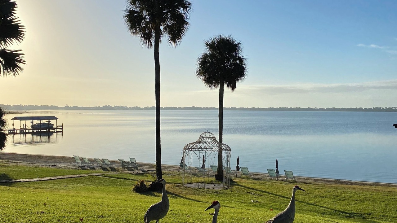 Photo of Outdoor in Florida South Atlantic Coast
