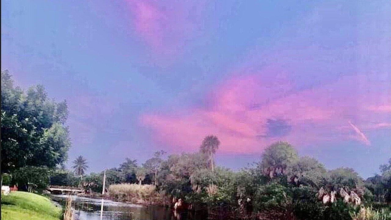 Photo of Others in Palm River Estates