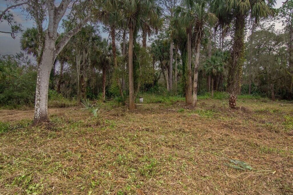 Photo of Outdoor in Palm City