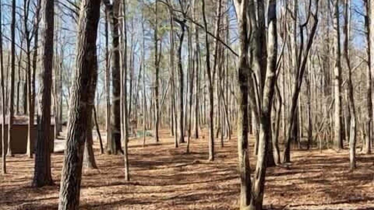 Photo of Others in Mentone