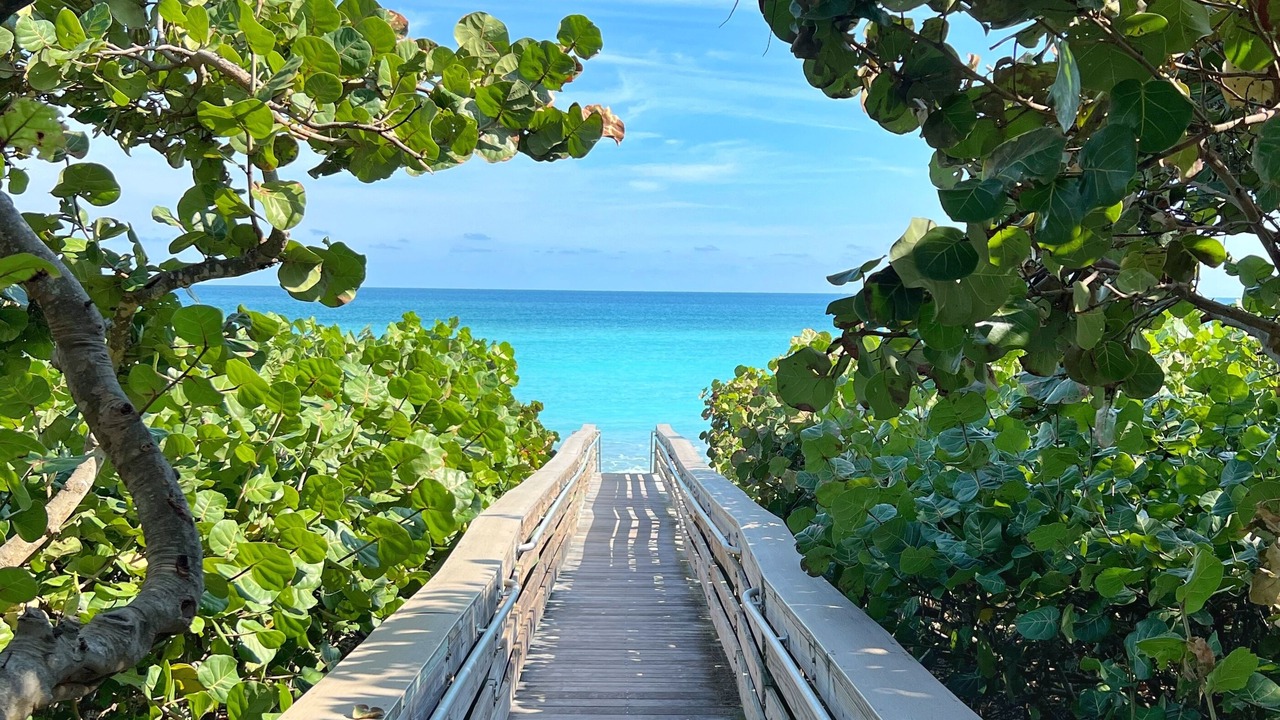 Photo of Outdoor in Jupiter Bay
