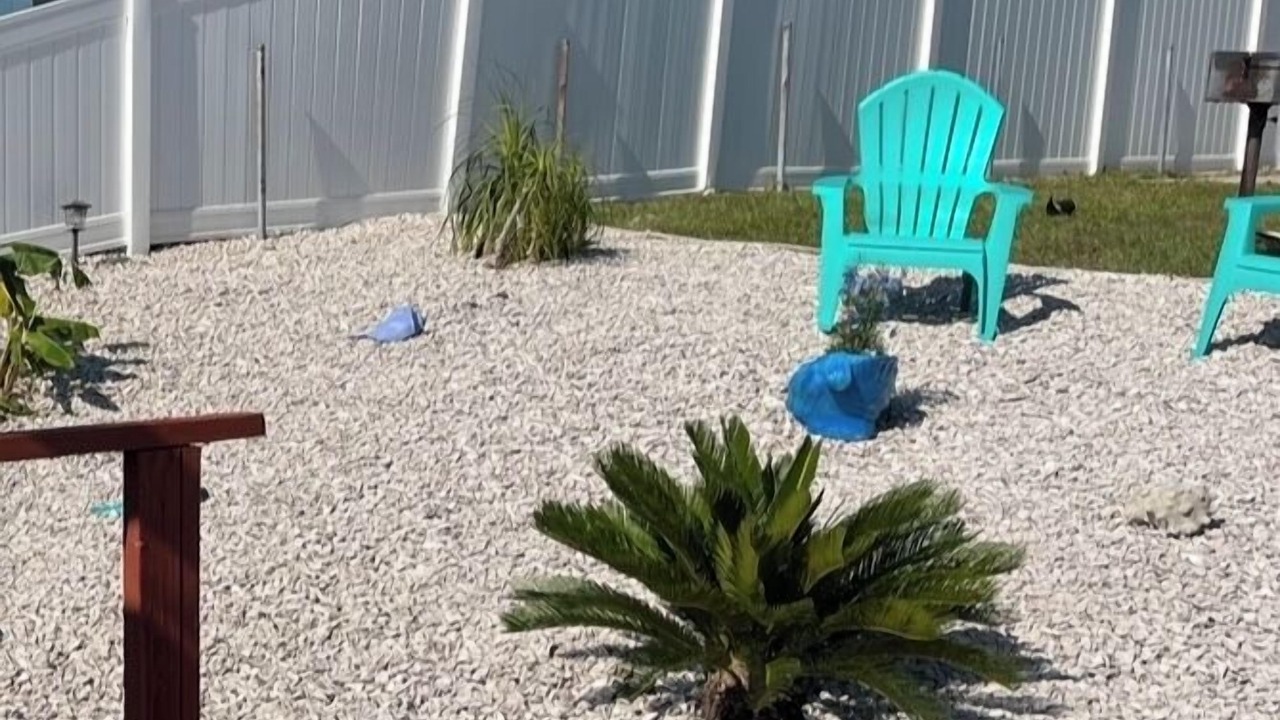 Photo of Outdoor in Hudson Beach Estates