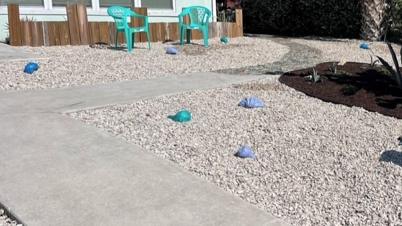 Photo of Outdoor in Hudson Beach Estates