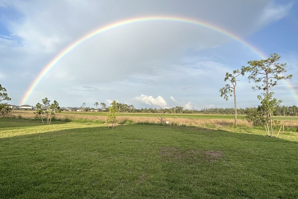 Photo of Others in Majestic Palms