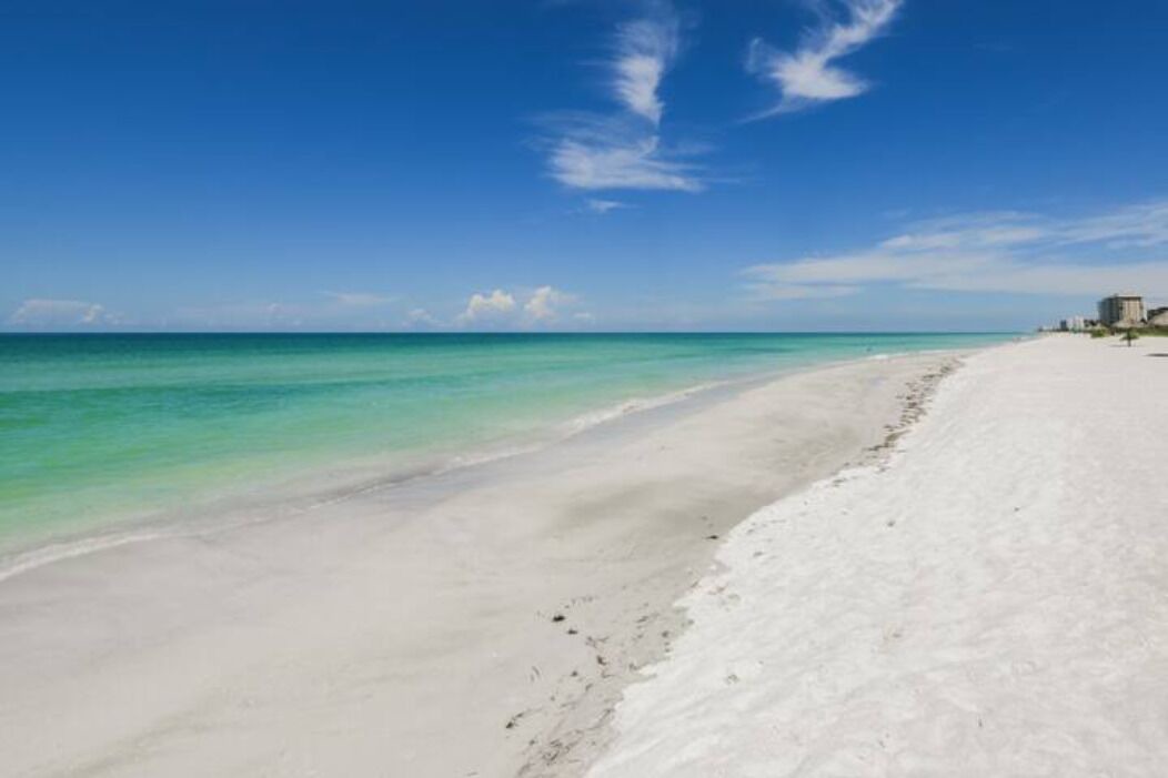 Photo of Others in Sarasota