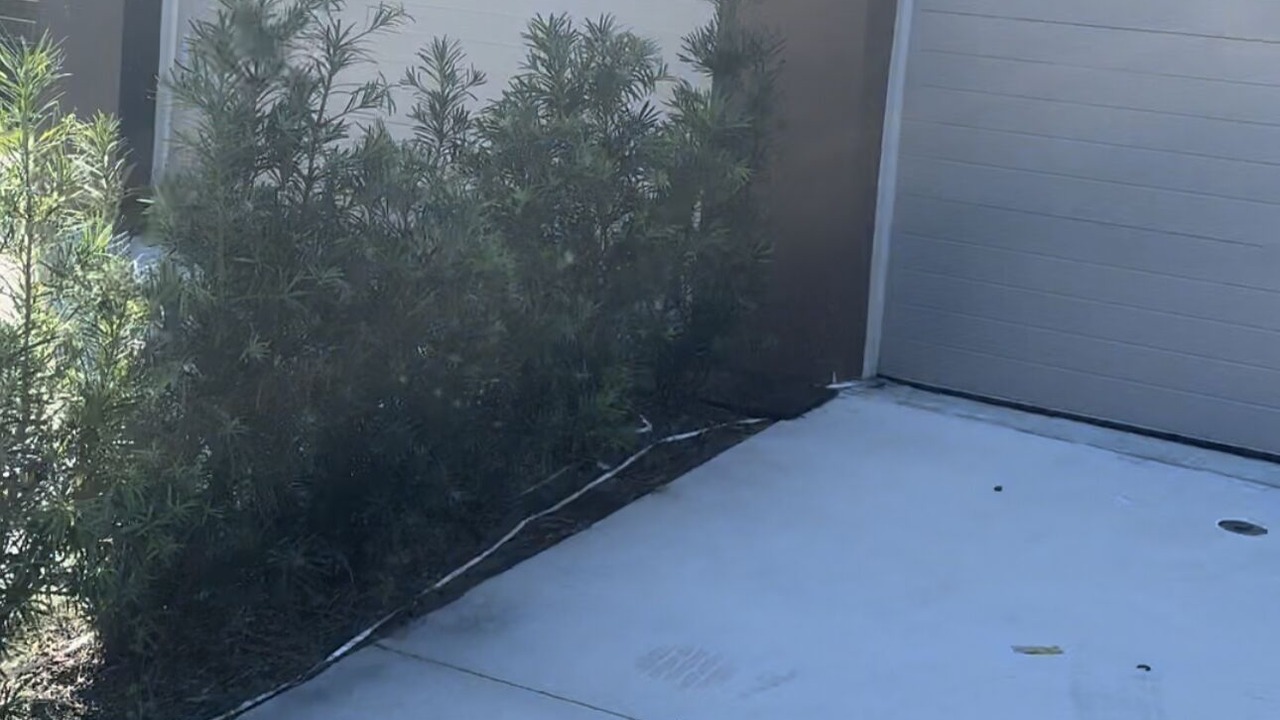 Photo of Outdoor in Liberty City