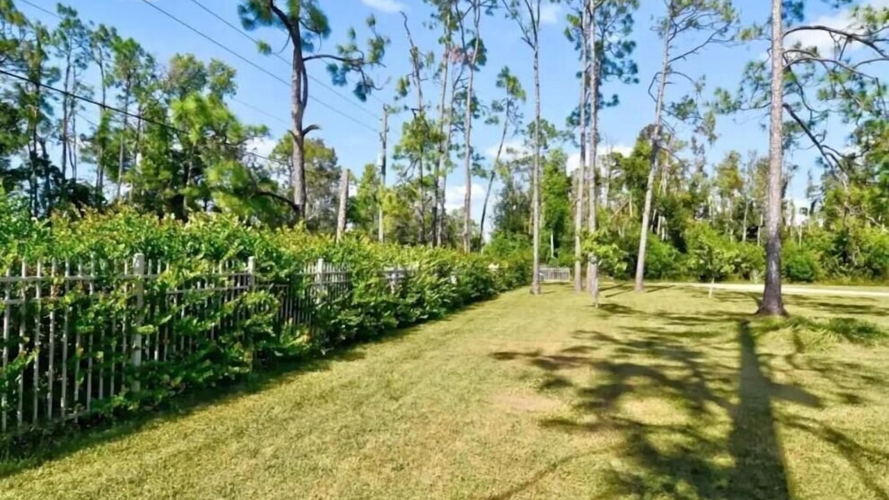 Photo of Outdoor in Highland Pines