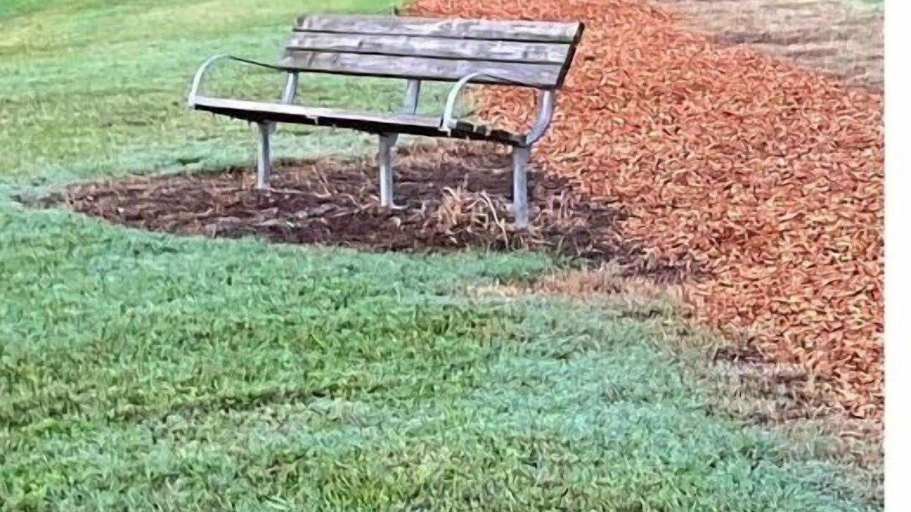 Photo of Outdoor in Deltona Lakes