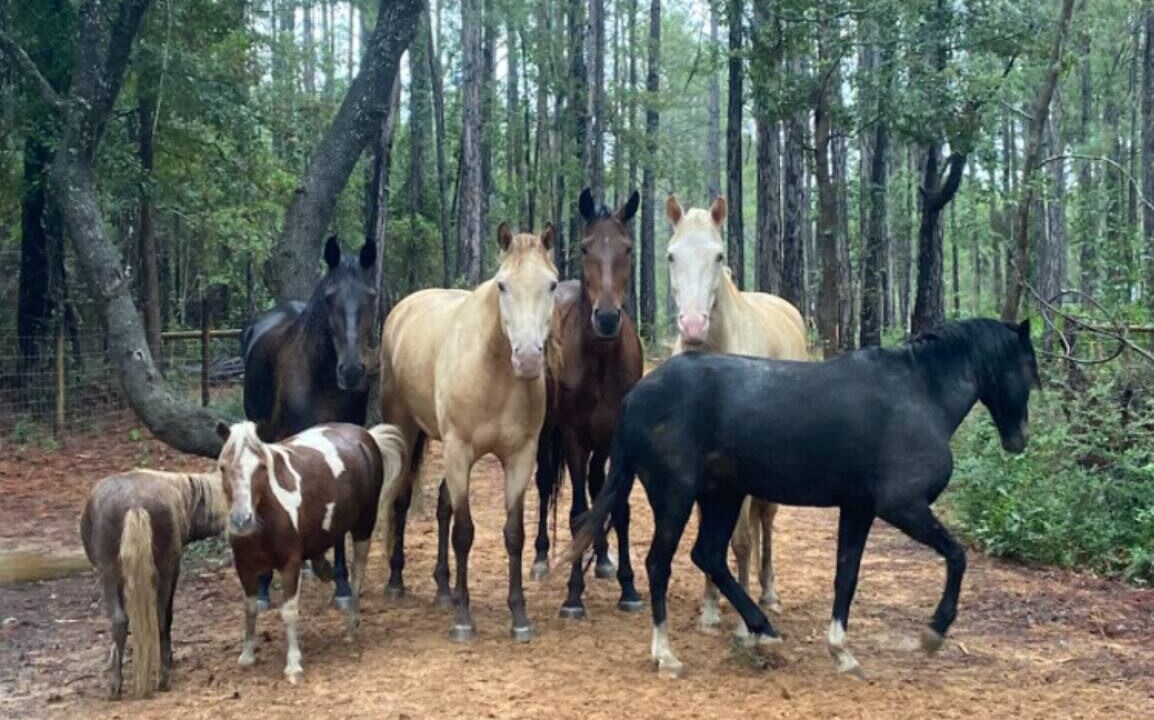 Photo of Outdoor in Florida Panhandle