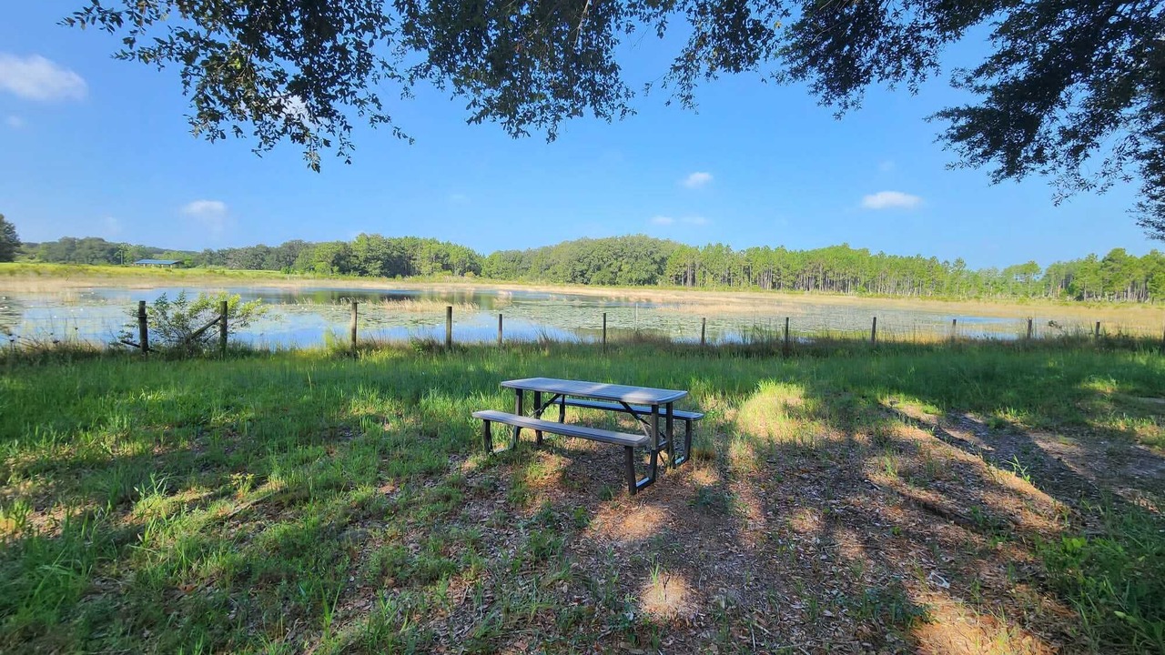 Photo of Outdoor in Groveland