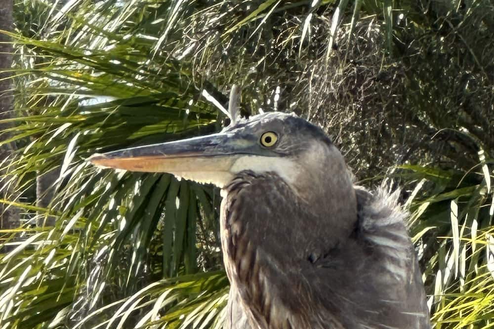 Photo of Others in Port Richey