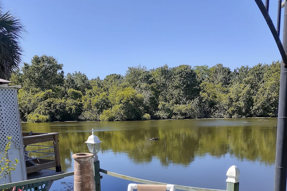 Photo of Outdoor in Port Richey