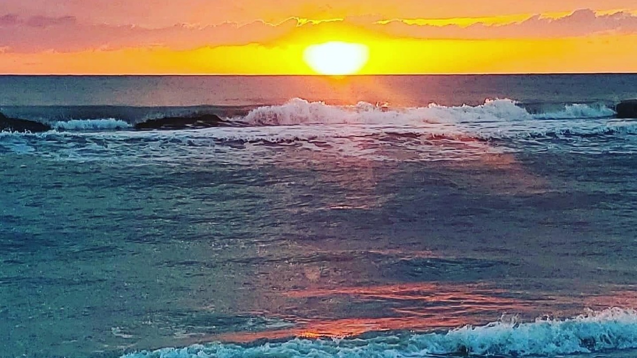 Photo of Outdoor in Siesta Key