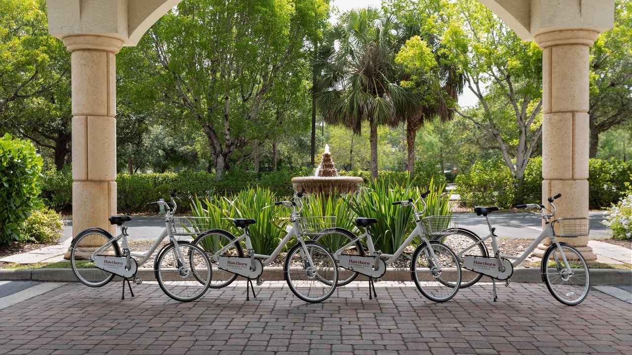 Photo of Outdoor in Naples