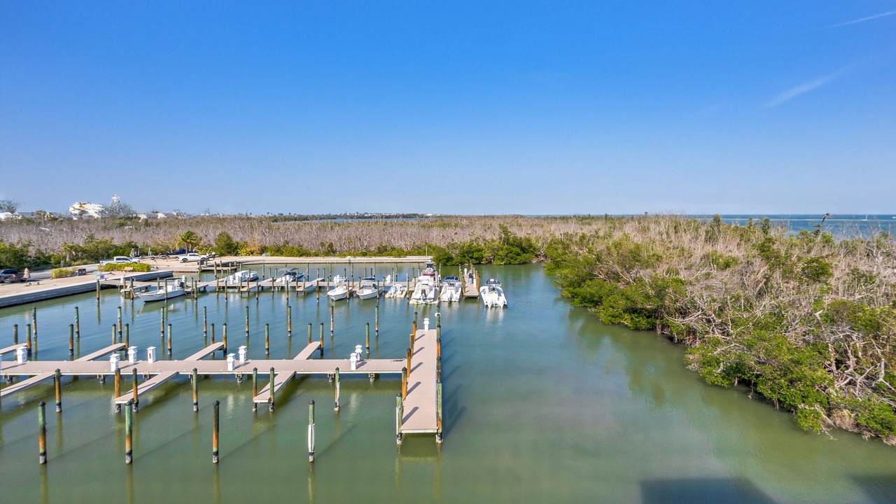 Photo of Others in Captiva